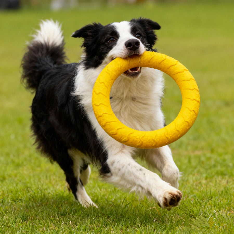 Durable Dog Chew Toy Set for Training and Play