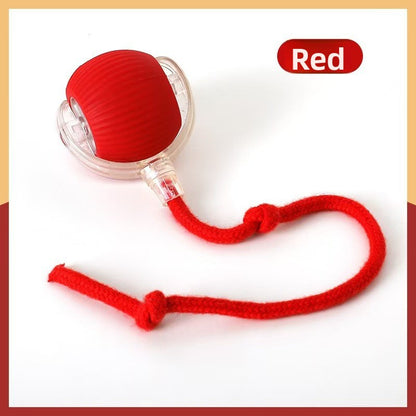Smart Cat Toy Ball for Self-Entertainment, Automatic Pet Cat and Dog Walking Ball