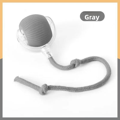 Smart Cat Toy Ball for Self-Entertainment, Automatic Pet Cat and Dog Walking Ball