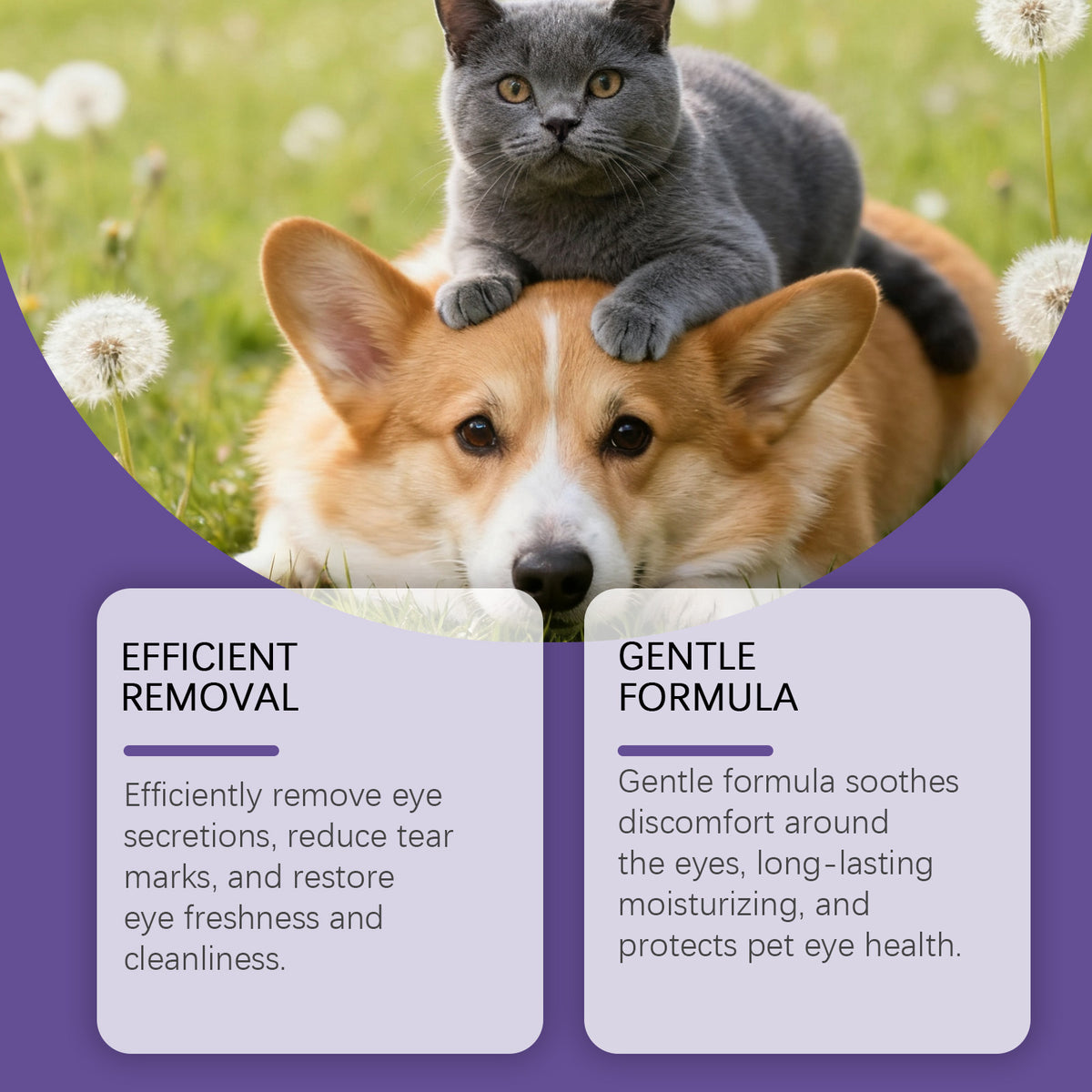 Pet Eye Drops