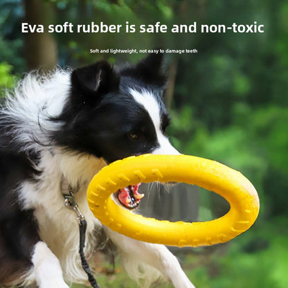 Durable Dog Chew Toy Set for Training and Play